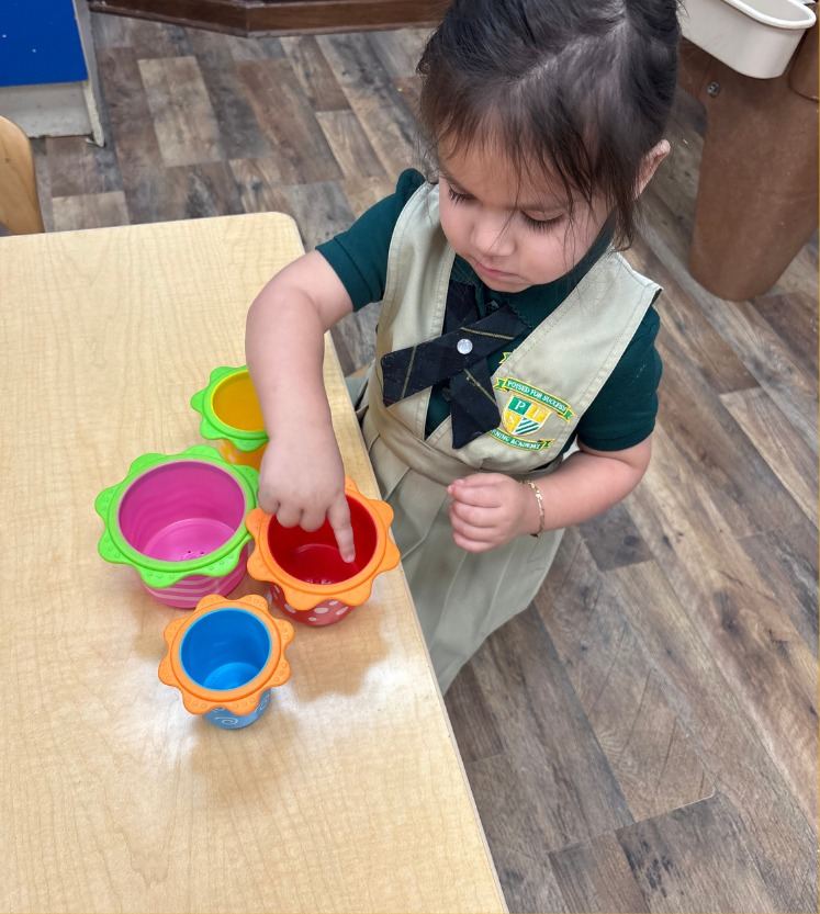 Toddler Program